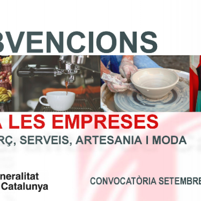 Presentació Subvencions 2017 per a empreses